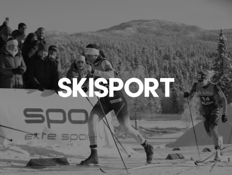 Skisport